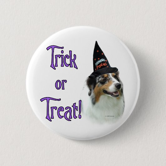 Australian Shepherd Trick Button (Vorderseite)