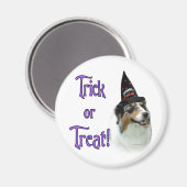 Australian Shepherd Trick Magnet (Vorderseite/Rückseite)