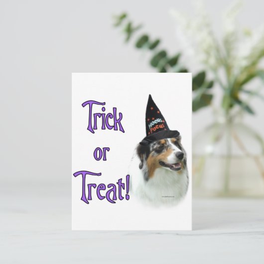 Australian Shepherd Trick Postkarte (Stehend Vorderseite)