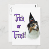 Australian Shepherd Trick Postkarte (Vorne/Hinten)