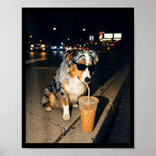 Australian Shepherd trinkt eisgekühlten Kaffee Hun Poster