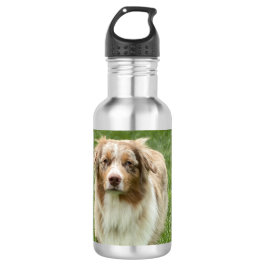 Australian Shepherd Water Bottle Edelstahlflasche
