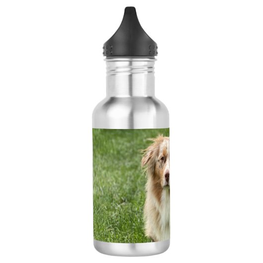Australian Shepherd Water Bottle Edelstahlflasche (Links)