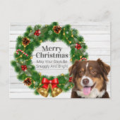 Australian Shepherd Weihnachten (Vorderseite)