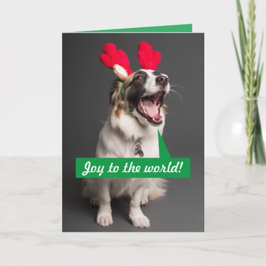 Australian Shepherd Weihnachtskarte singen Feiertagskarte (Vorderseite)