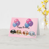Australian Shepherd Welppies Happy Birthday Karte (Gelbe Blume)