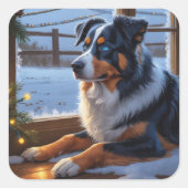 Australian Shepherd With Christmas Lights Holiday Quadratischer Aufkleber (Vorderseite)