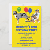 Australian Shepherds Birthday Party Einladung (Vorderseite)