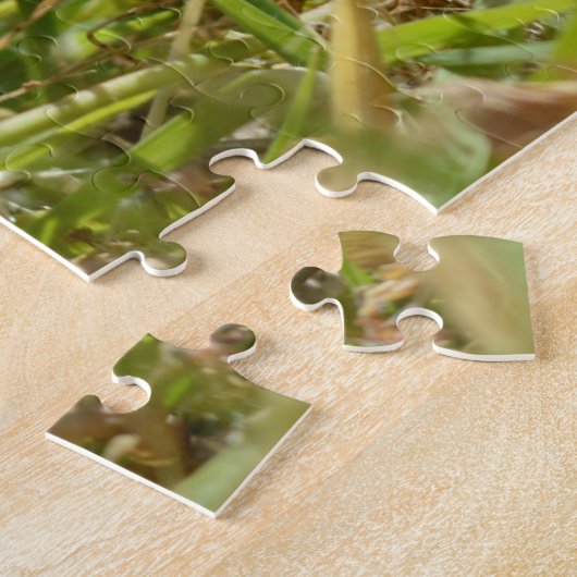 Australian Shingleback Blue Tongue Lizard, Jigsaw Puzzle (Seite)