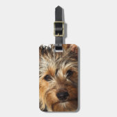 Australian Silky Terrier Gepäckanhänger (Vorderseite vertikal)