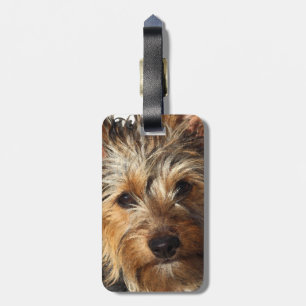 Australian Silky Terrier Gepäckanhänger