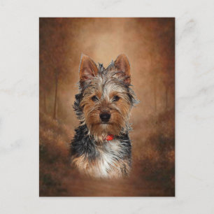Australian Silky Terrier Postkarte
