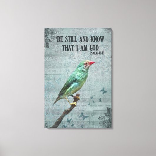 Australian Star Finch Leinwanddruck (Vorderseite)