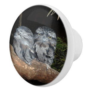 Australian Tawny Frogmouth Owls, Keramik Pull Keramikknauf