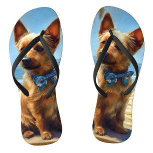 Australian Terrier am Strand Hunde Liebhaber Somme Badesandalen