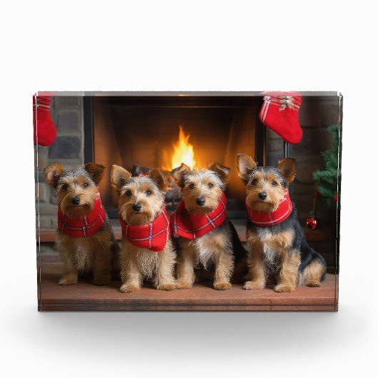 Australian Terrier by Fireplace Christmas Fotoblock (Vorderseite)