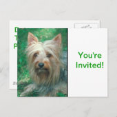 Australian Terrier Einladungspostkarte (Vorne/Hinten)