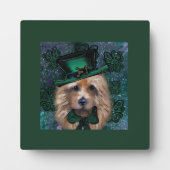 Australian Terrier Fotoplatte (Vorderseite)