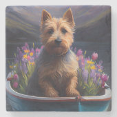 Australian Terrier on Paddle: Ein Landschaftliches Steinuntersetzer (Vorderseite)