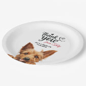 Australian Terrier Pappteller (Schrägansicht)