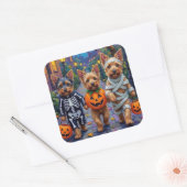 Australian Terrier Trick-or-Treating zu Halloween Quadratischer Aufkleber (Umschlag)