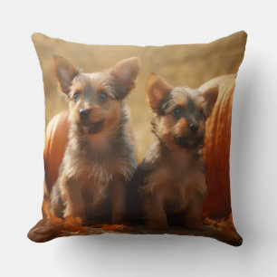 Australian Terrier Welpe Herbstvergnügen Kürbis Kissen