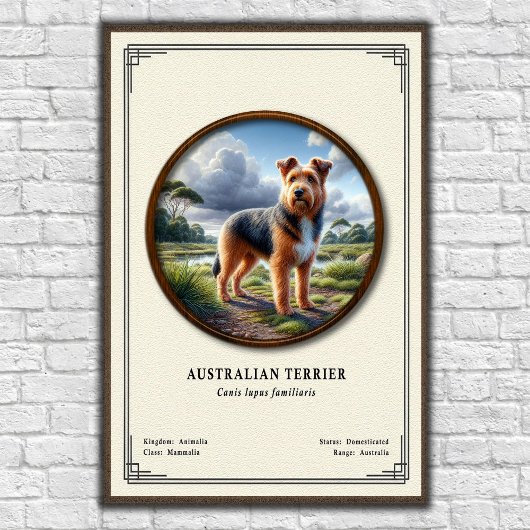 Australian Terrier Zoology Series Poster