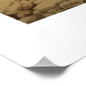 Australian Travel Poster, Daintree, QLD Poster (Ecke)