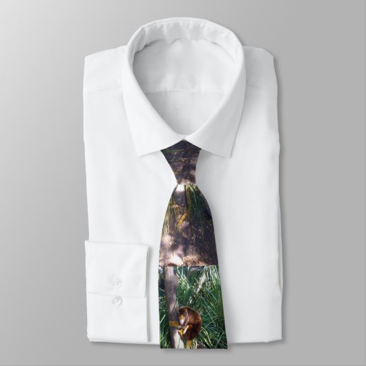 Australian Tree Kangaroo, Neck Tie Krawatte (Gebunden)