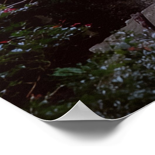 Australian WaterFall Poster (Ecke)