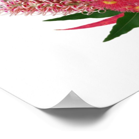 Australian Wild Blume Bouquet Poster (Ecke)