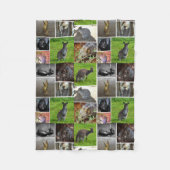 Australian Wildlife Collage, Fleecedecke (Vorderseite)