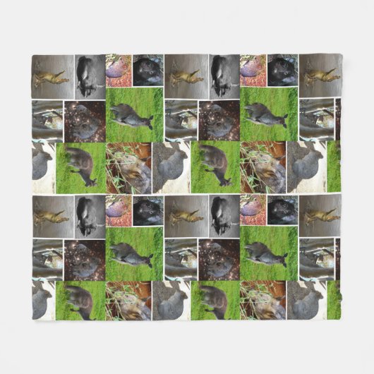 Australian Wildlife Collage, Fleecedecke (Vorderseite (Horizontal))