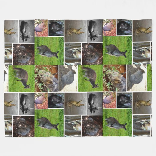 Australian Wildlife Collage, Fleecedecke (Vorderseite (Horizontal))