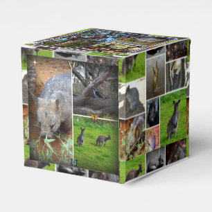 Australian Wildlife Collection Geschenkschachtel