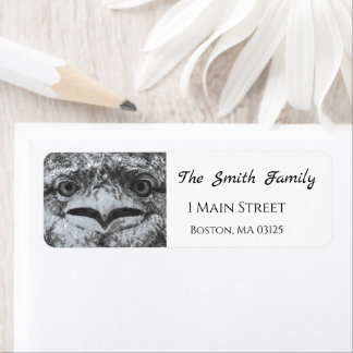 Australian Wildlife, Nature's Curmudgeon, Animal