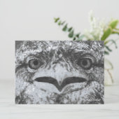 Australian Wildlife, Nature's Curmudgeon, Animal Einladung (Stehend Vorderseite)