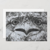 Australian Wildlife, Nature's Curmudgeon, Animal Einladung (Vorne/Hinten)