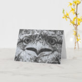 Australian Wildlife, Nature's Curmudgeon, Animal Karte (Gelbe Blume)