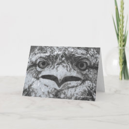 Australian Wildlife, Nature's Curmudgeon, Animal Karte