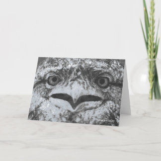 Australian Wildlife, Nature's Curmudgeon, Animal Karte