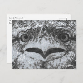 Australian Wildlife, Nature's Curmudgeon, Animal Postkarte