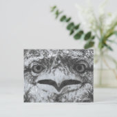 Australian Wildlife, Nature's Curmudgeon, Animal Postkarte (Stehend Vorderseite)