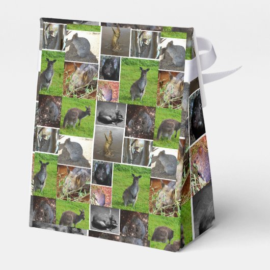 Australian Wildlife Picture Collage, Geschenkschachtel (Rückseite)