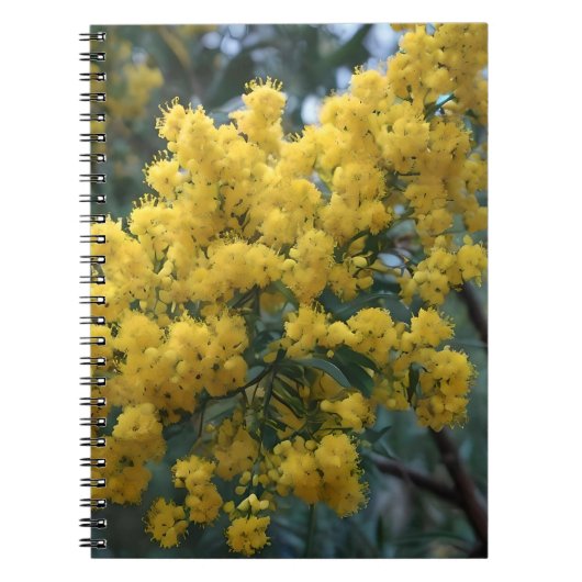 Australian Yellow Wattle Tree, Notizblock (Vorderseite)