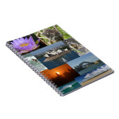 Australiana Notizblock (Rechte Seite)