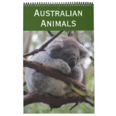 Australien 2025 kalender (Titelbild)