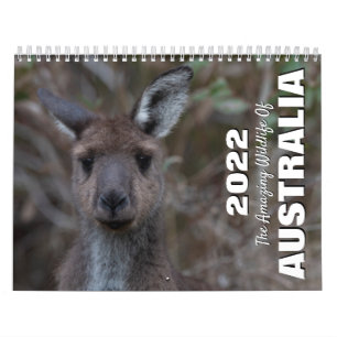 Australien 2025 Wildlife Animal Foto Kalender