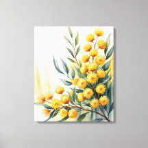 Australien — Aquarell-Goldene Akazie