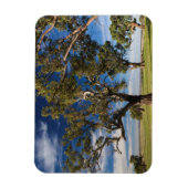 Australien, Barossa-Tal, Berg Angenehm Magnet (Vertikal)